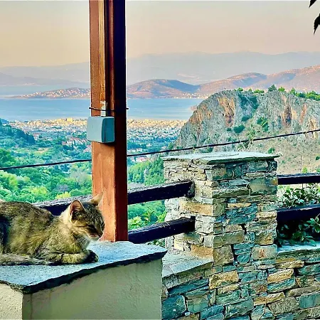 Pelion Estate With Grand Garden And Sea Views Villa *