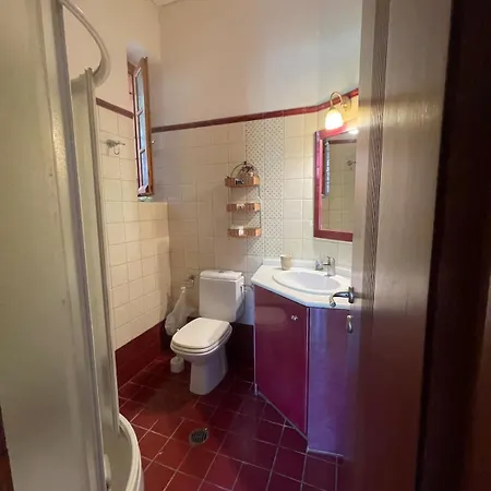 Pelion Estate With Grand Garden And Sea Views Вилла *